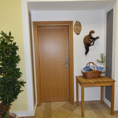Apartments And Rooms Kod Eli Ravna Gora Exterior photo
